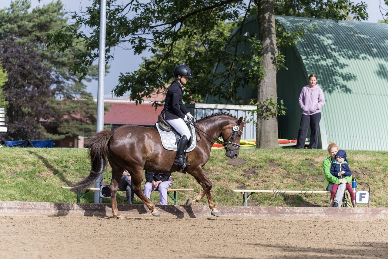 Bild 361 - Pony Akademie Turnier